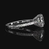 Veloura Halo Ring collection-desktop