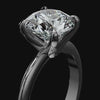 Le Classique Élégant Ring collection-desktop